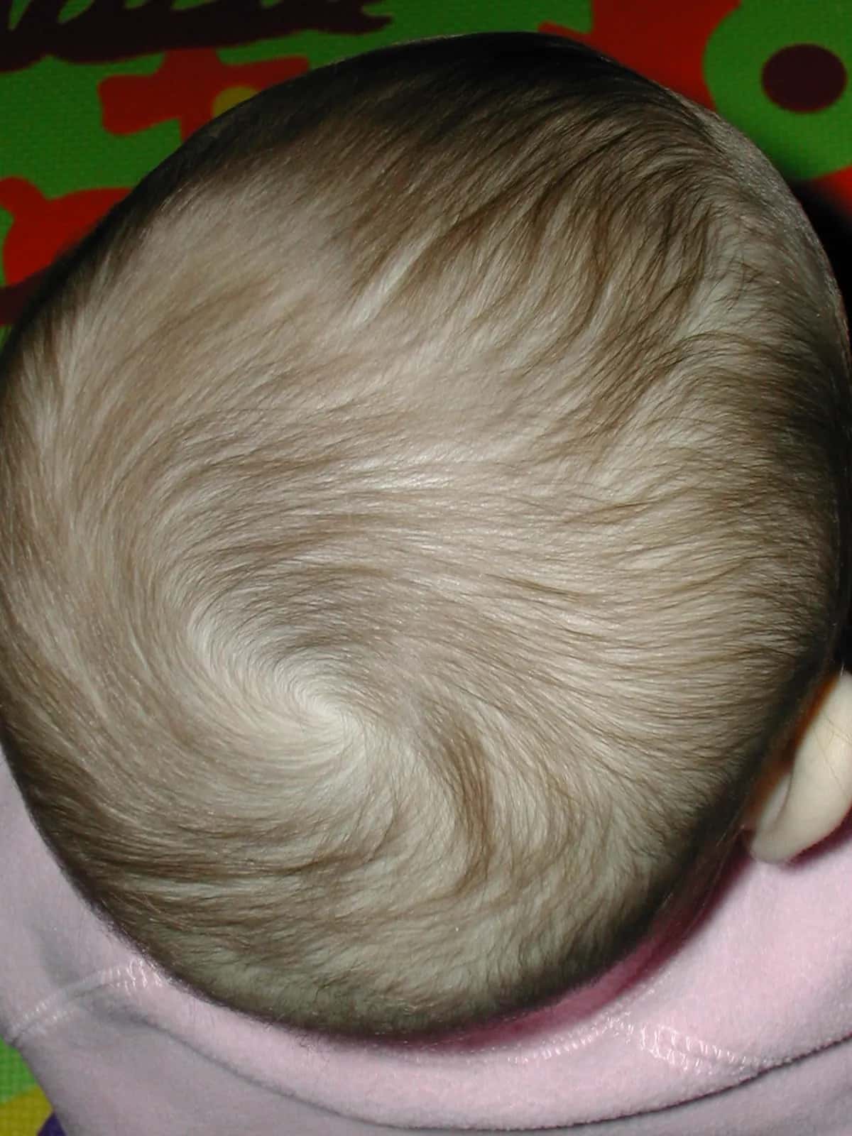 A newborn's head seen from above, pale hair swirling into a whorl at the crown