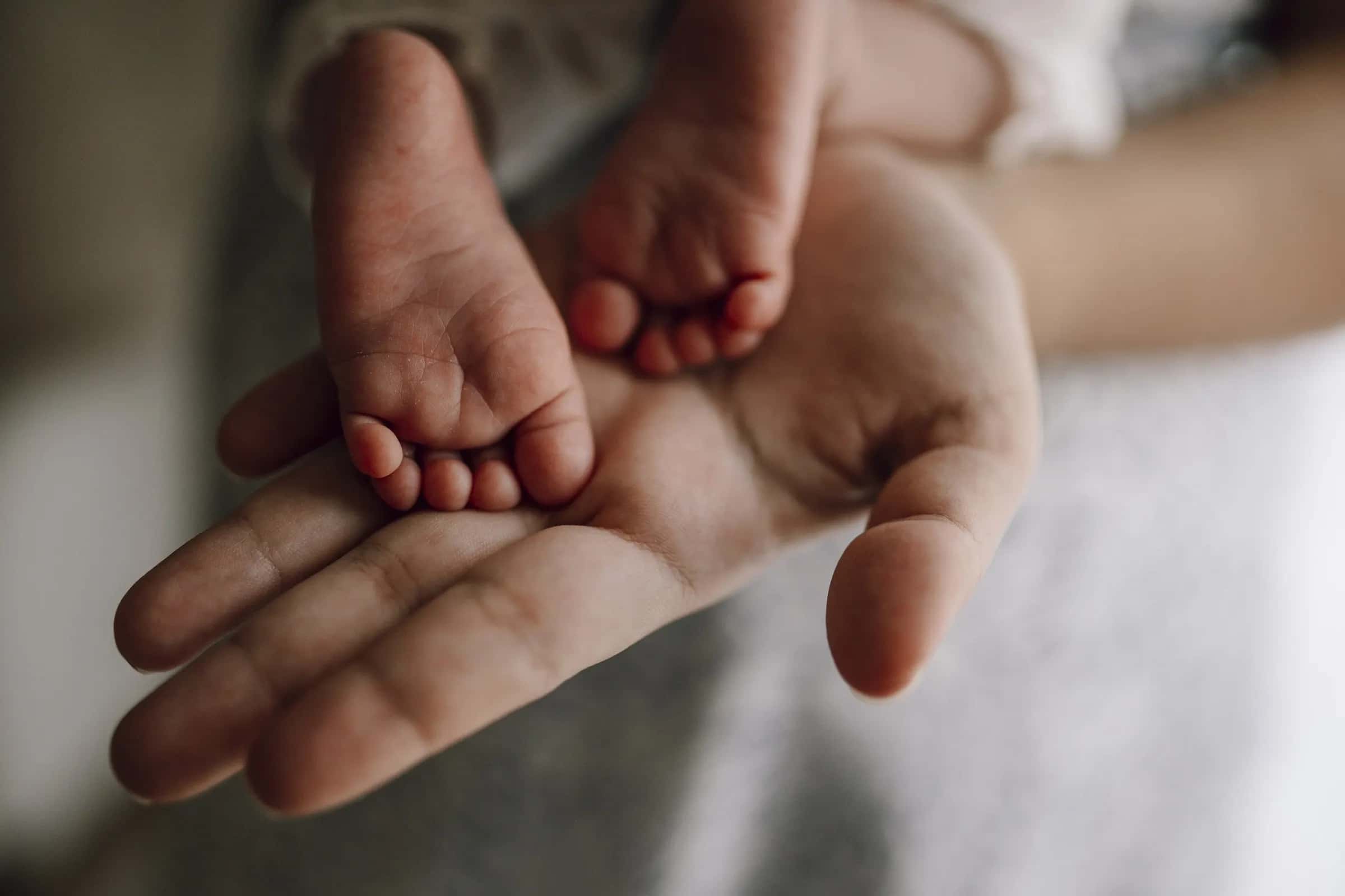 A newborn's tiny foot resting in a parent's open palm