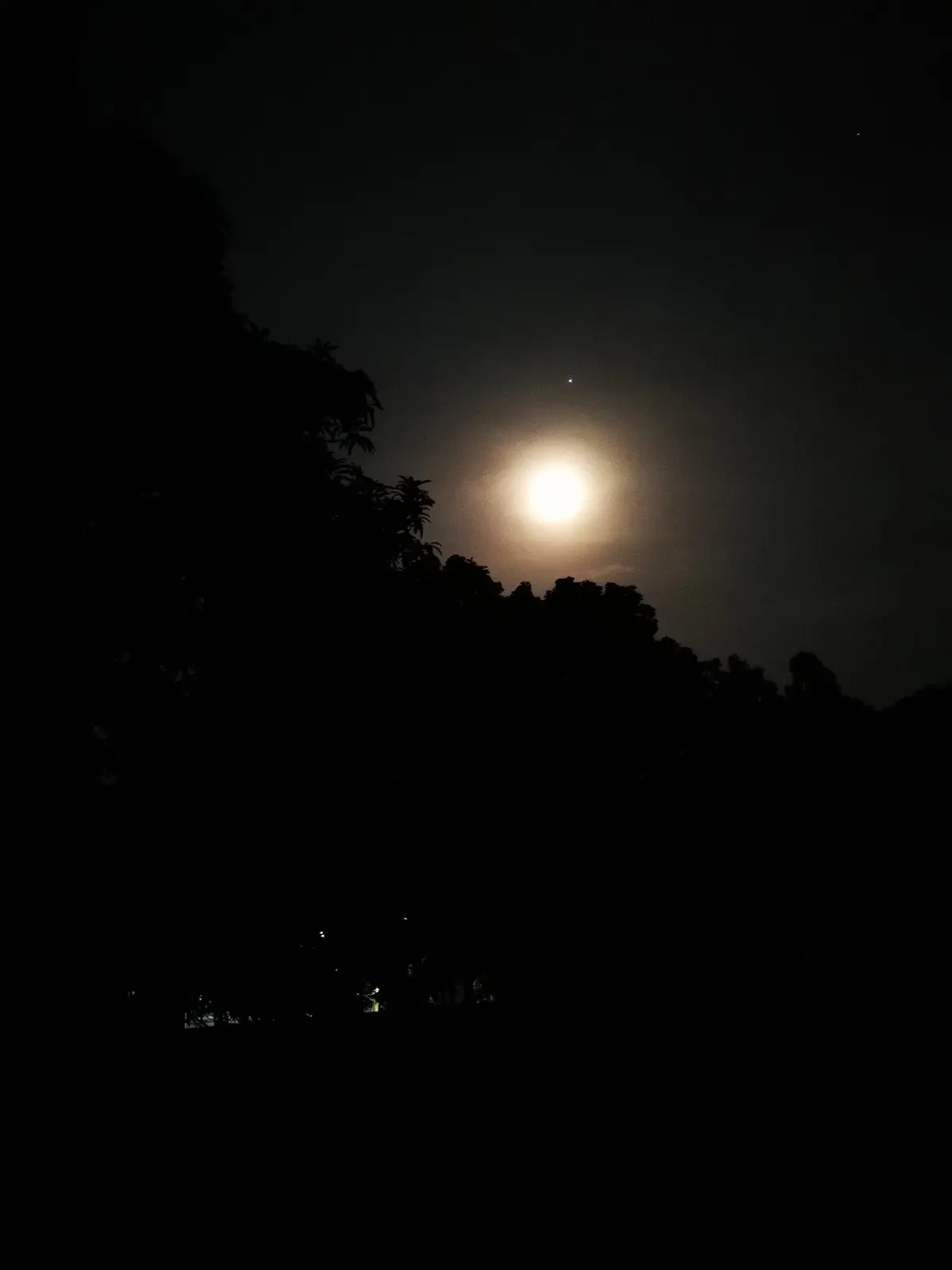 A glowing full moon rising above the dark outline of trees