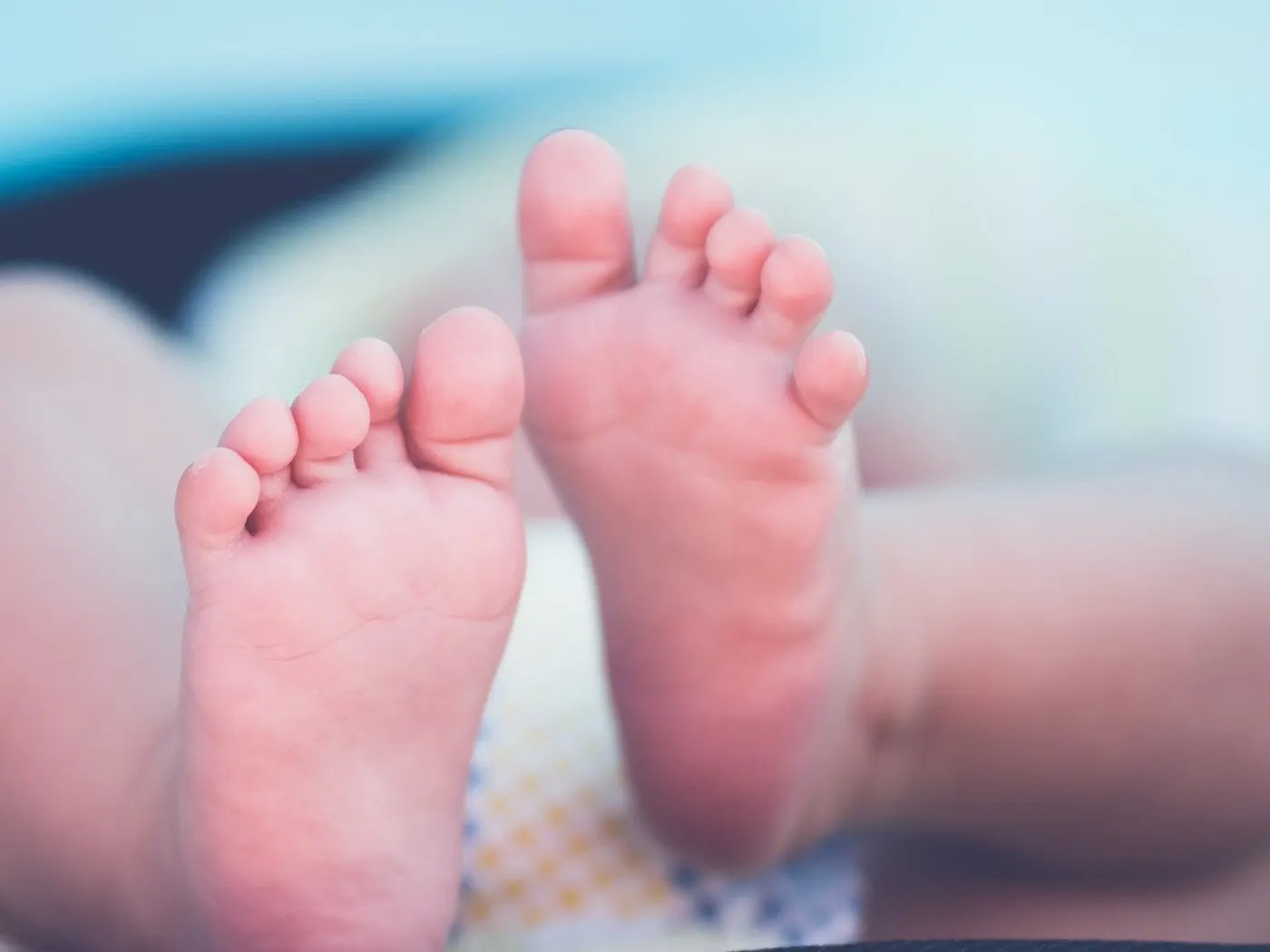 A newborn's feet in soft focus, toes spread