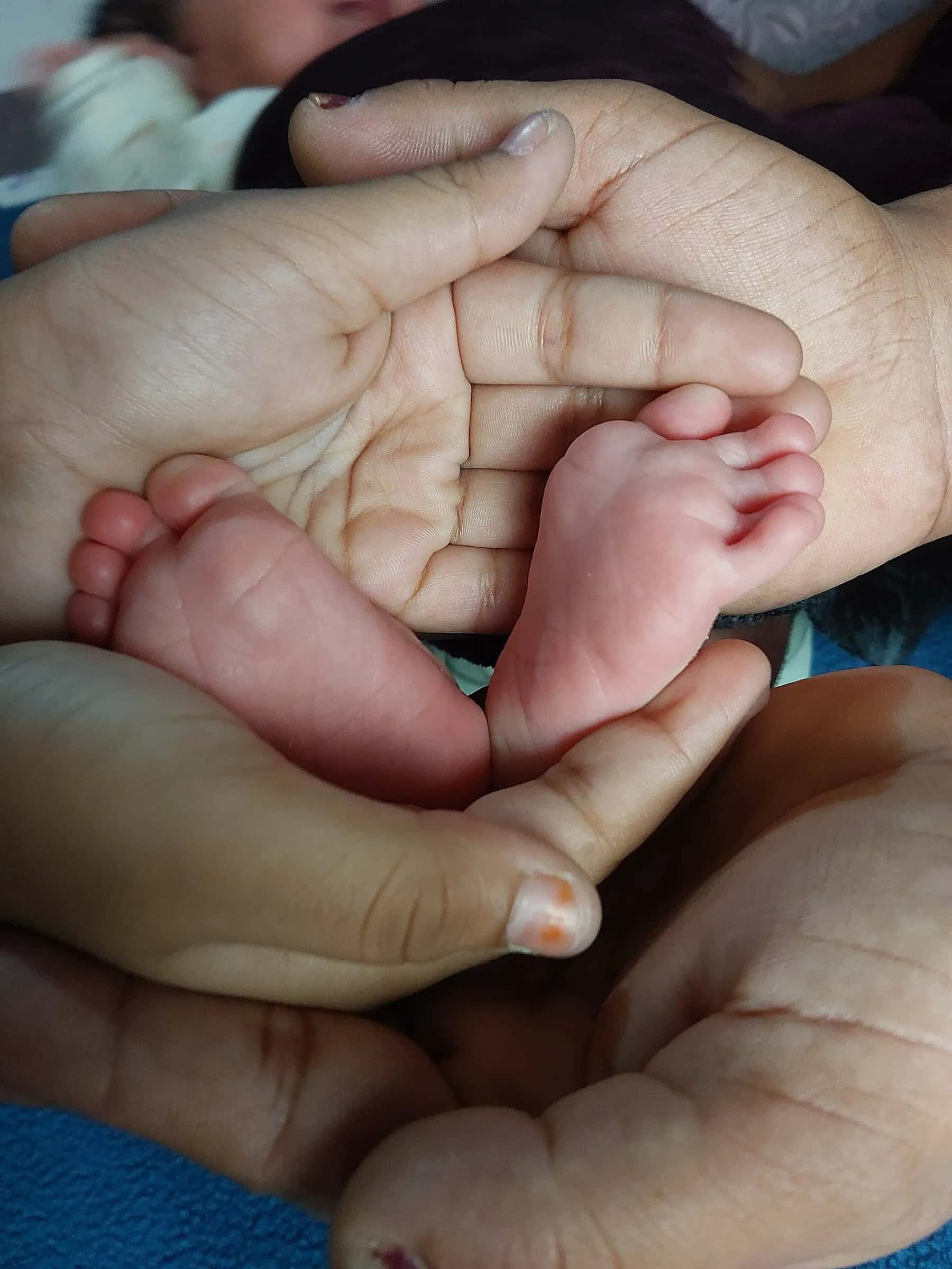 A newborn's feet held in the cupped hands of the family, as if in a heart