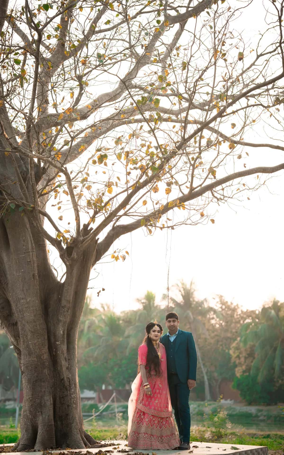 The couple standing under a large old tree