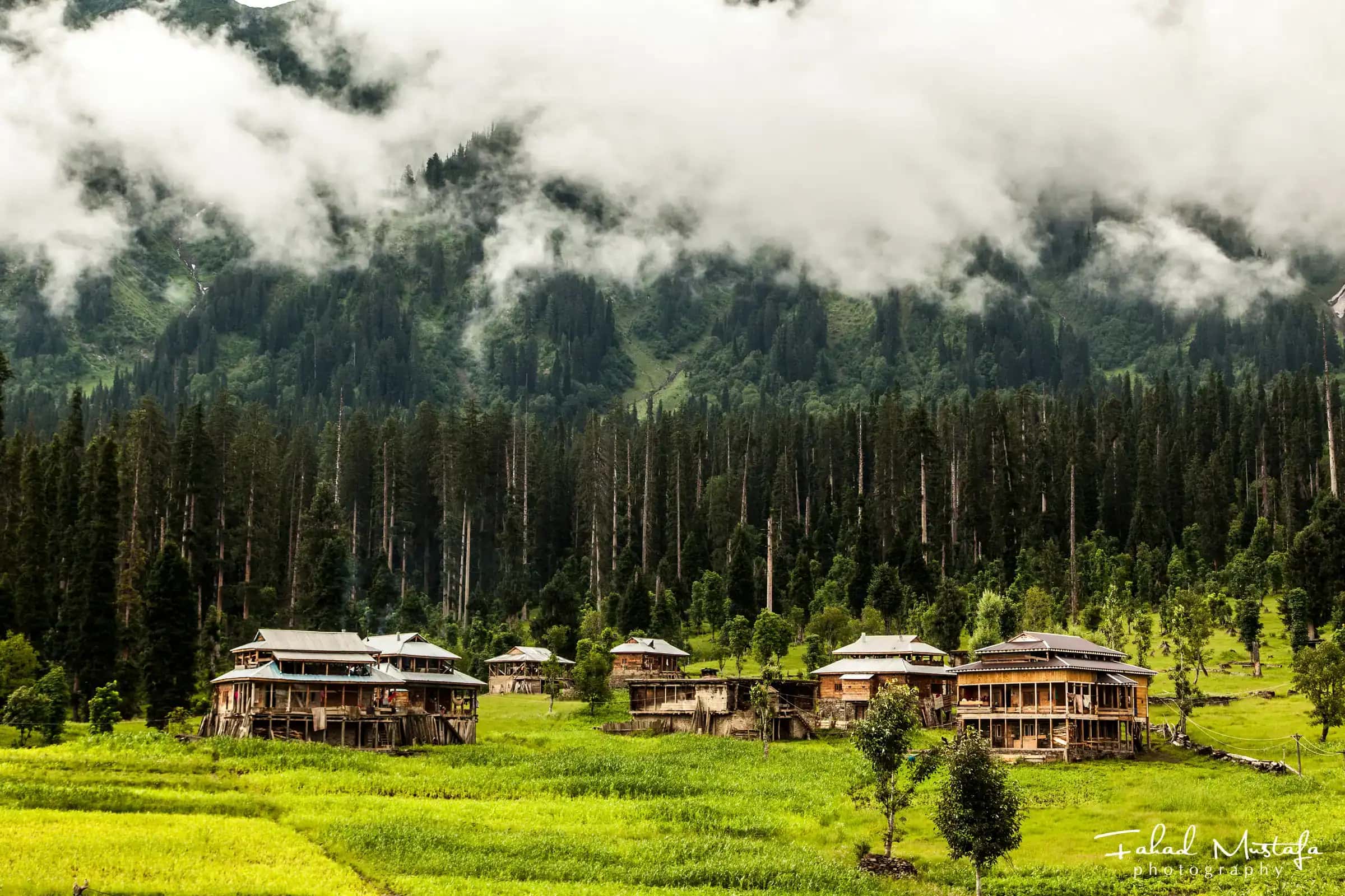 Clouds coming down over a line of pines above the wooden huts and green meadow of Arang Kel