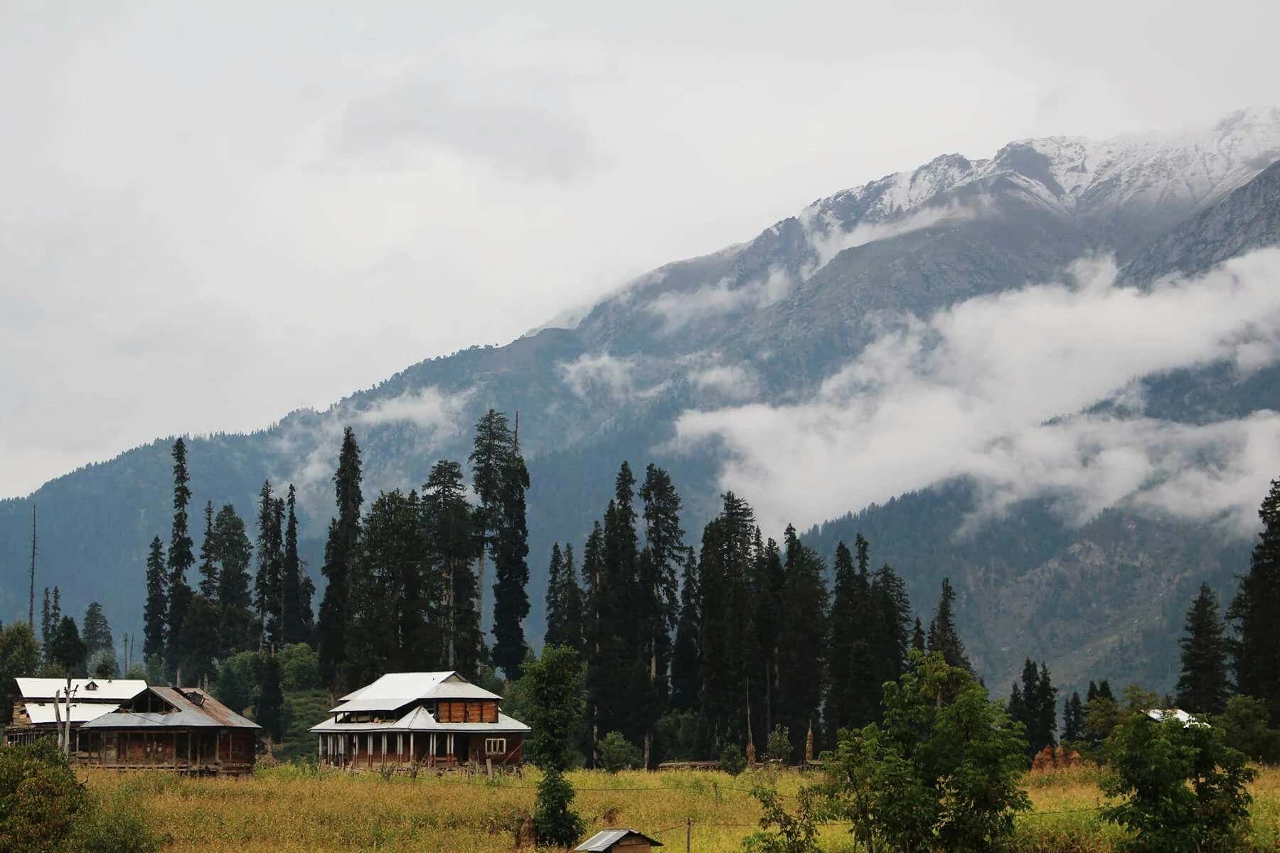 Cloud coming down over the pines and the wooden huts of Arang Kel