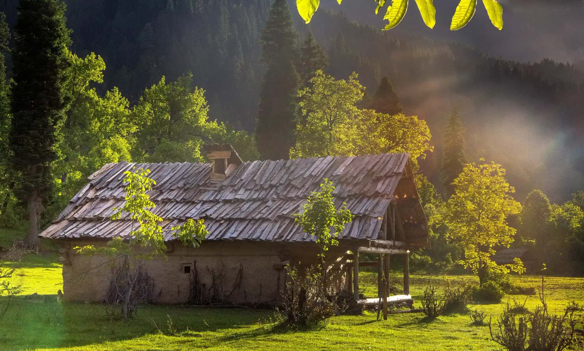 A wooden hut among trees and flowers at Taobat