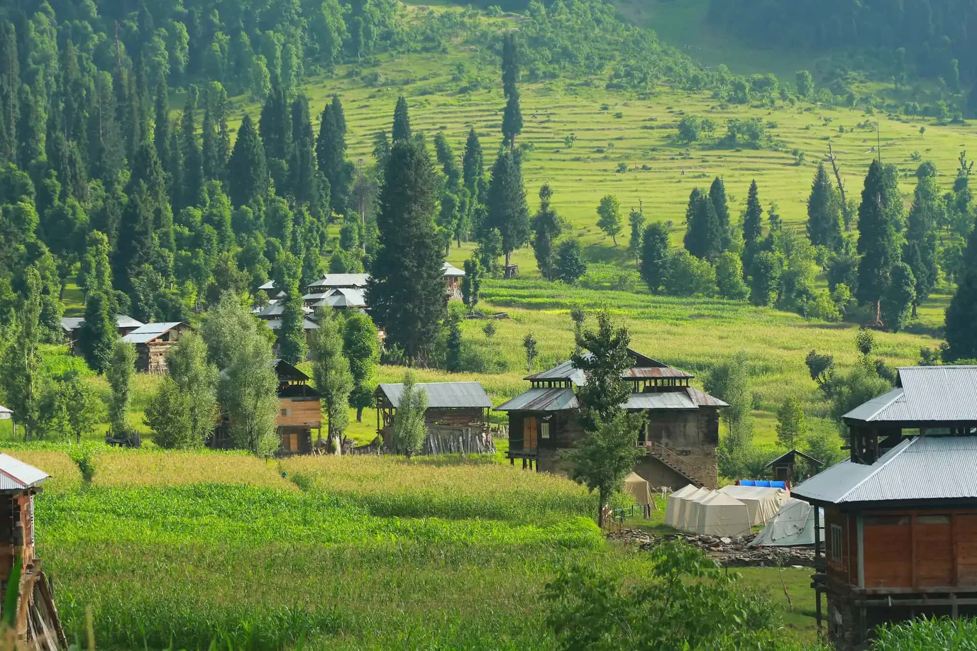 The green meadow of Arang Kel with its wooden huts, a stream and the pine slopes above