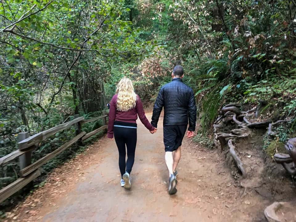 A couple walking hand in hand up a forest trail, seen from behind
