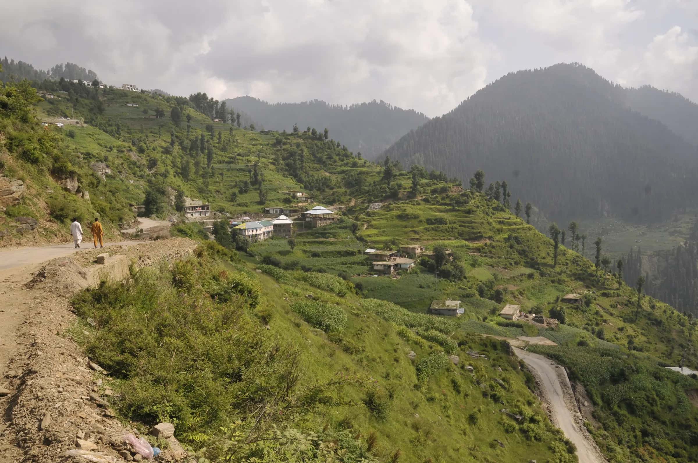 A mountain road above terraced fields and villages below pine-covered hills near Malam Jabba