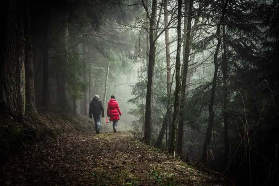 Two people walking away down a misty forest path