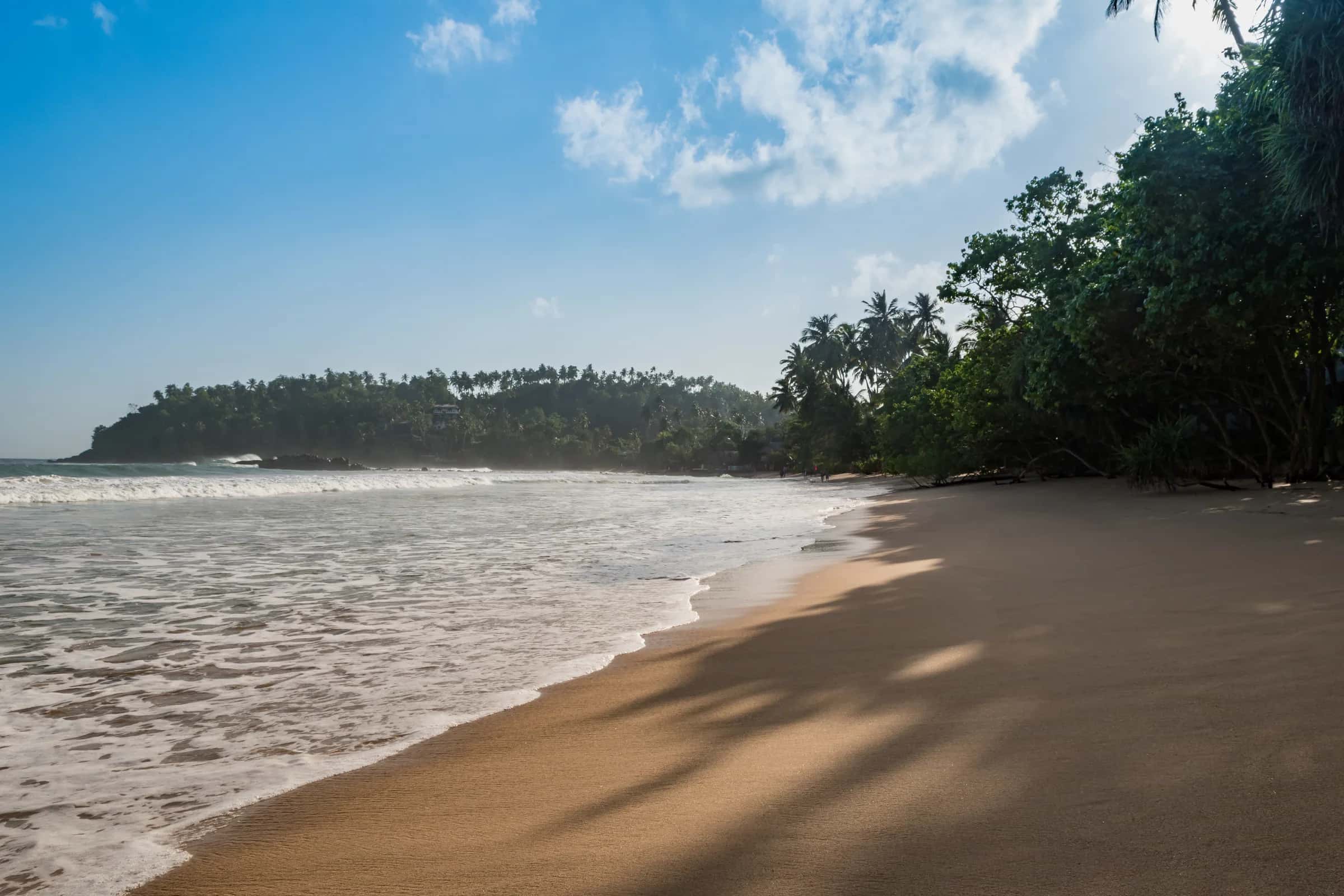 The long curve of Mirissa beach, a wave running up the wet sand below a headland of palms