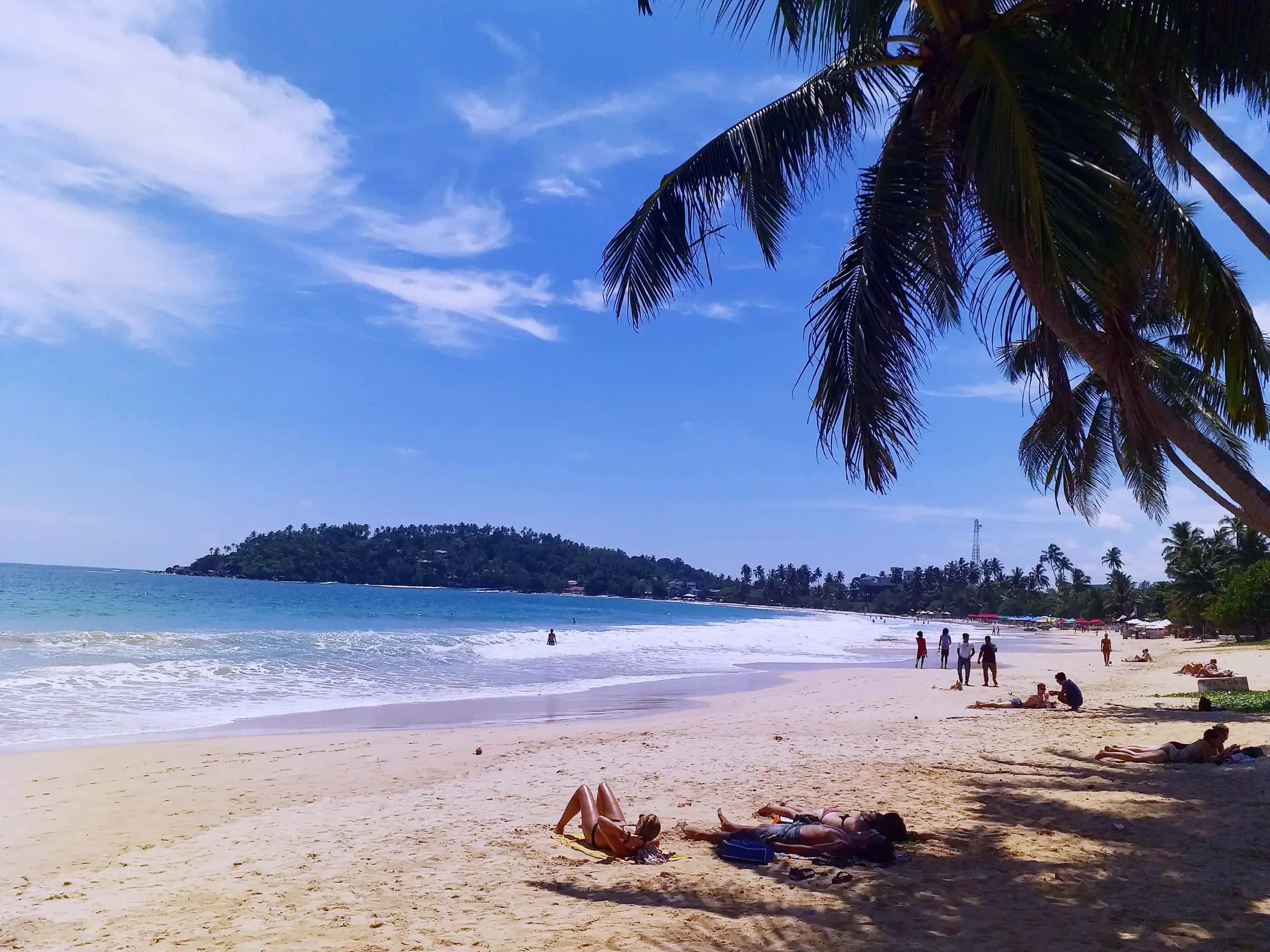Mirissa beach from under a leaning palm, the bay and the island beyond it