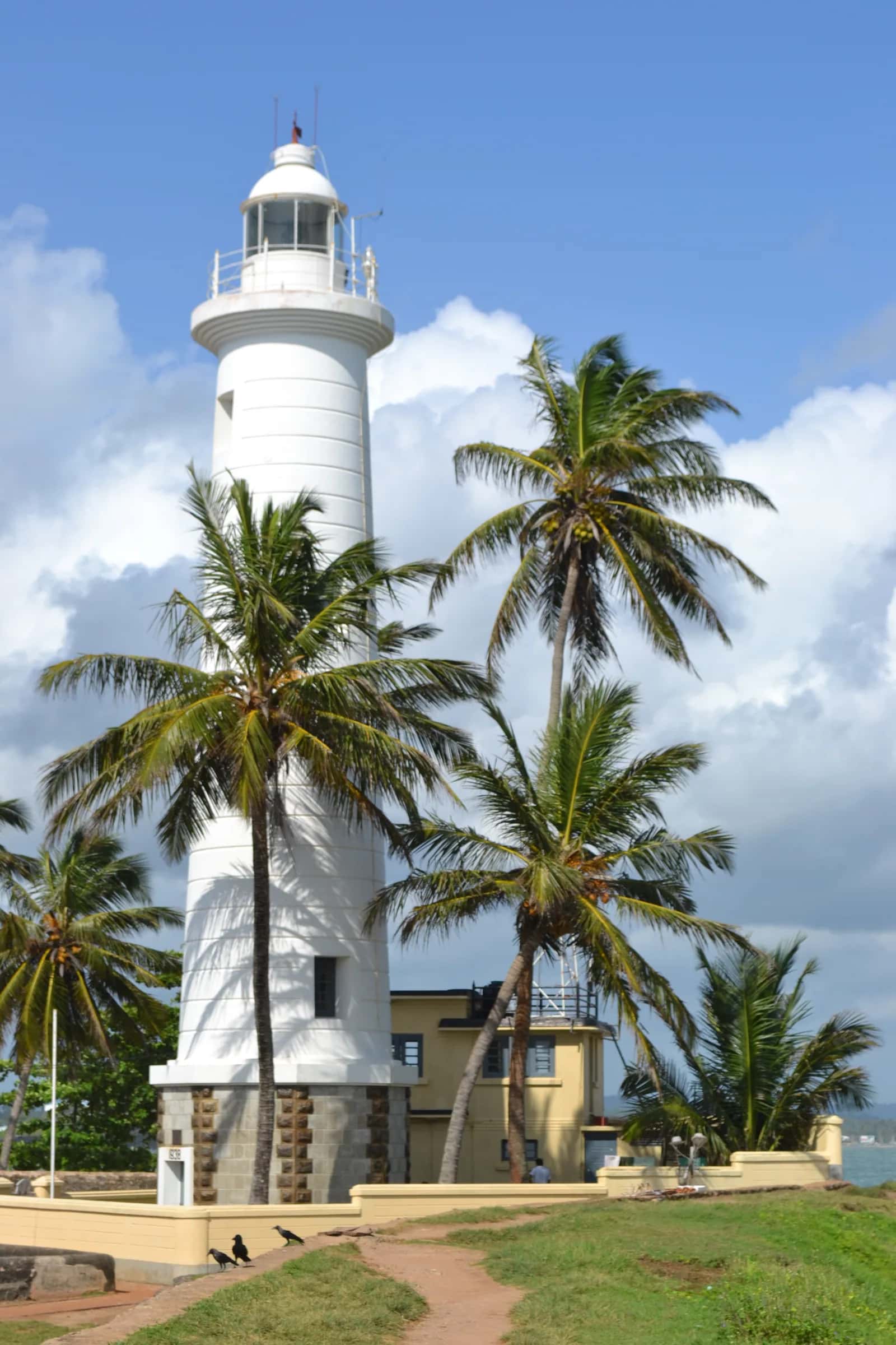 The white lighthouse of Galle fort between two coconut palms