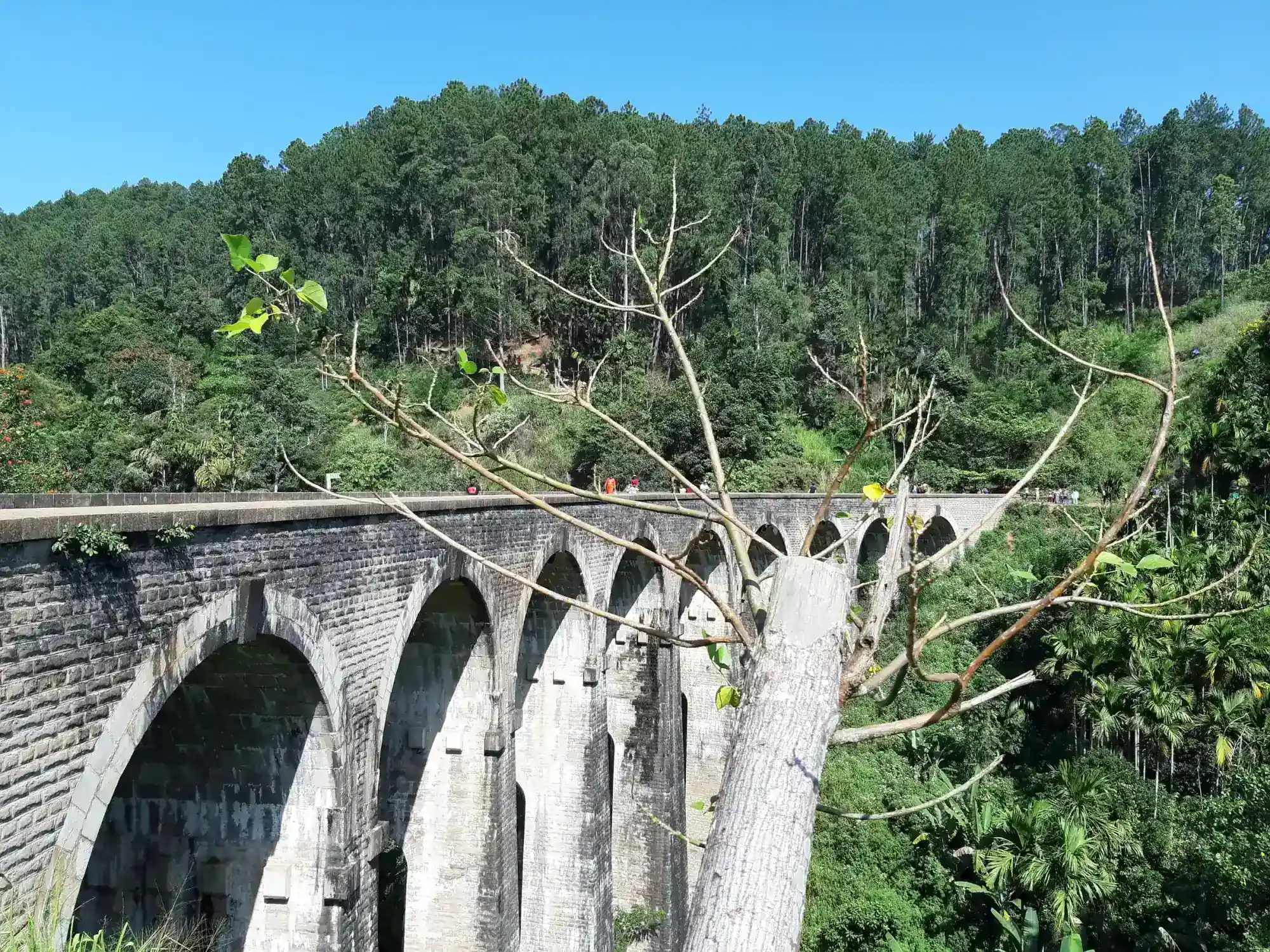 The nine stone arches of the bridge at Ella standing among the trees
