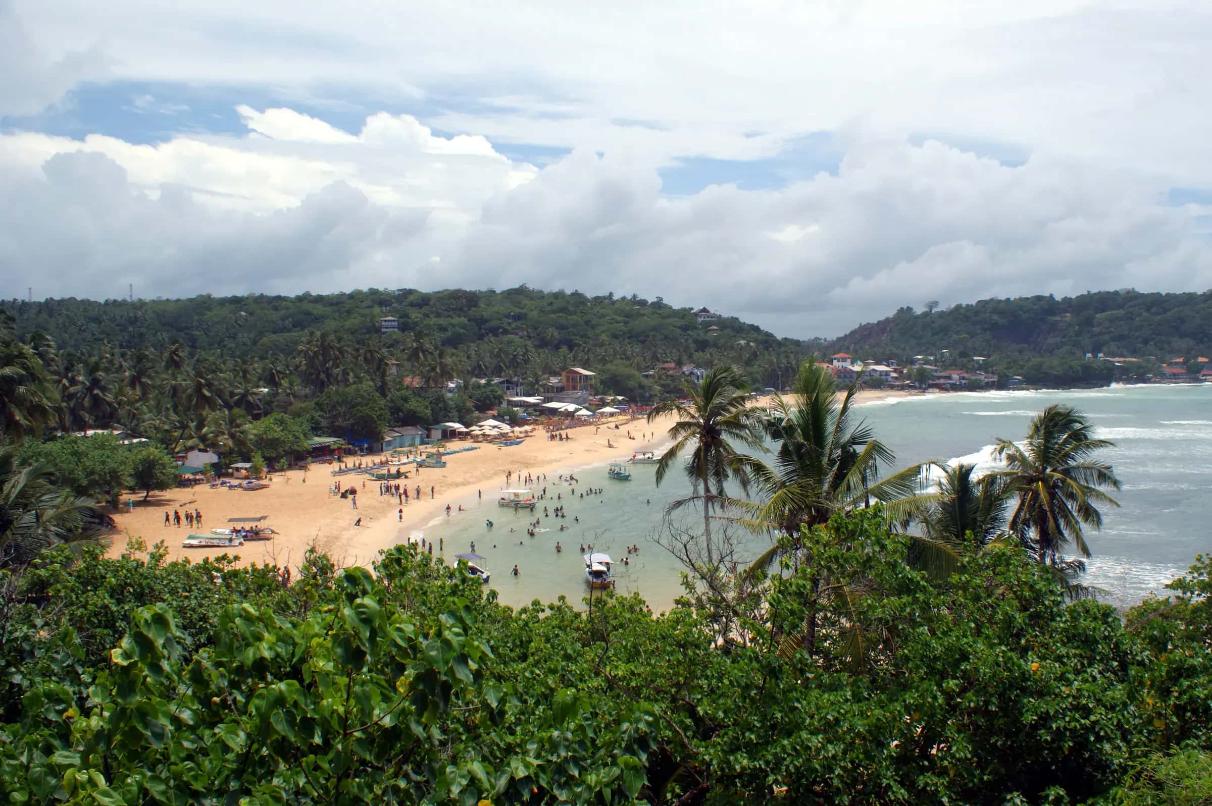 Unawatuna bay from above, its curve of pale sand and green water between the palms