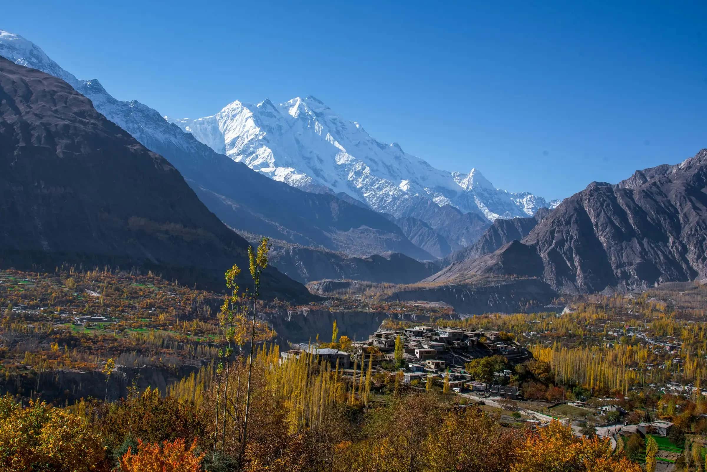 Karimabad's autumn trees beneath Rakaposhi